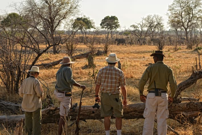 Botswana Walking Safaris