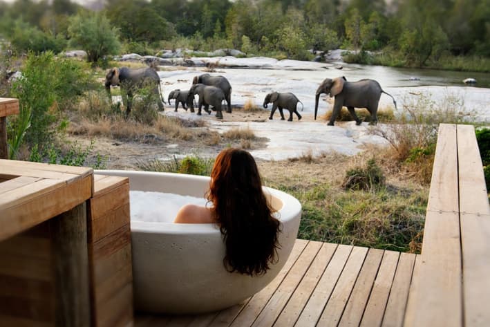 South Africa Honeymoon Safari