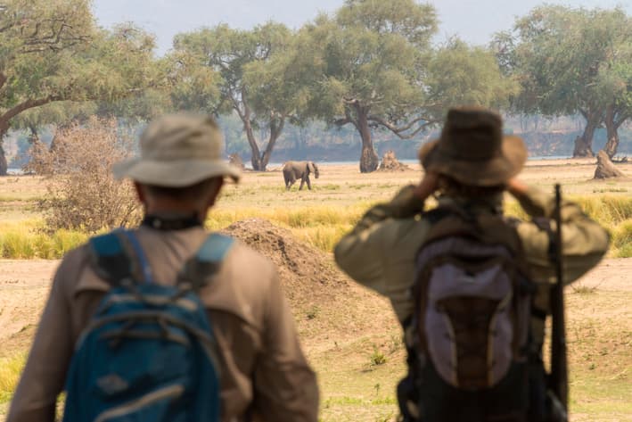 Zimbabwe Safari - Walking Safar