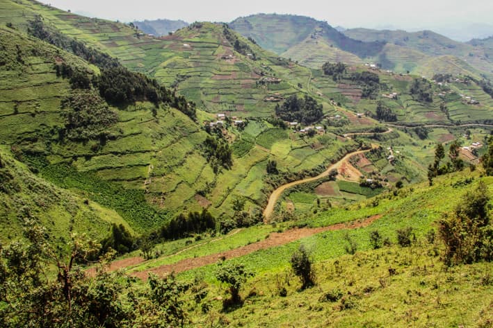 Rwanda Safari - Kigali