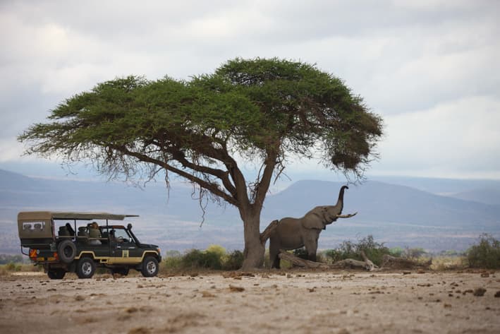 Kenya Family Safari - Amboseli