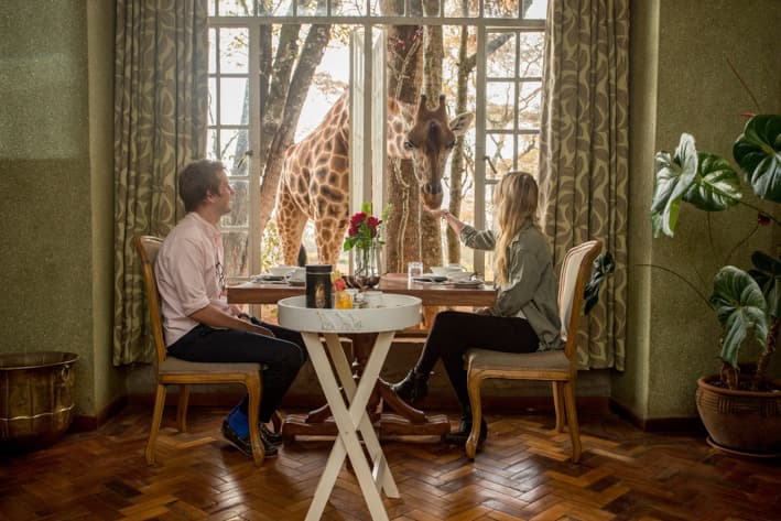 Luxury Kenya Safari - Giraffe Manor