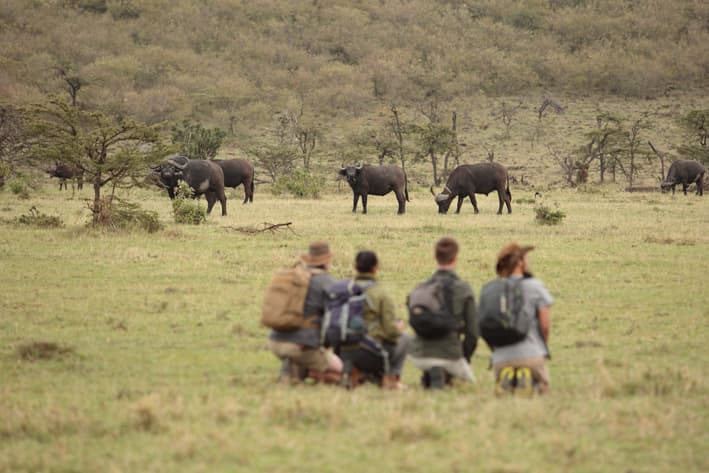 Kenya Walking Safari - Masai Mara