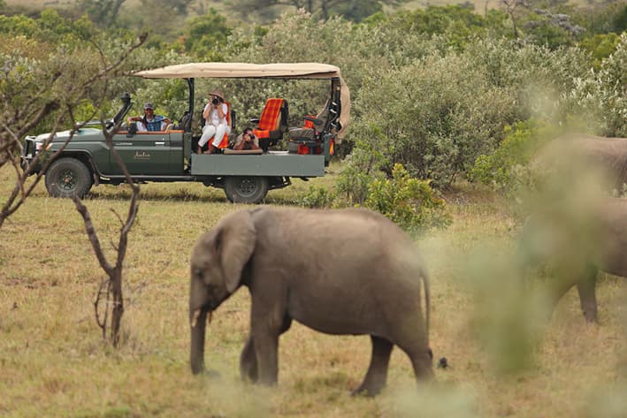 Kenya Safari - Masai Mara