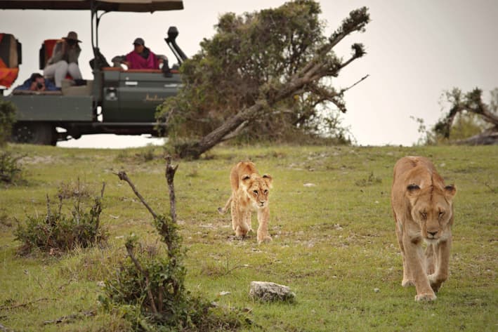 Kenya Safari - Masai Mara