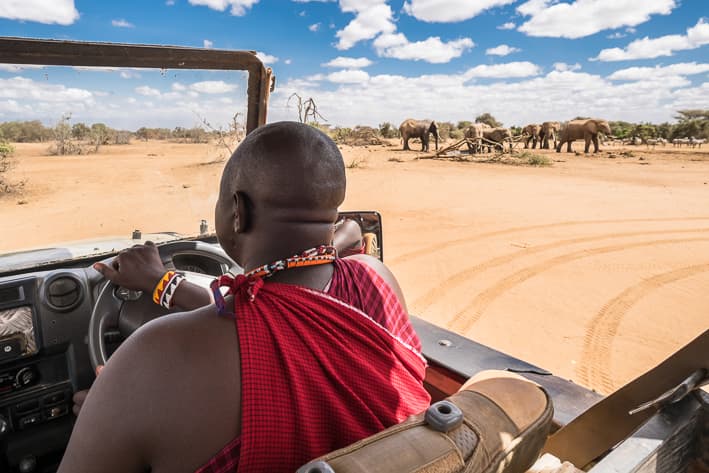 Highlights of Kenya Safari - Amboseli
