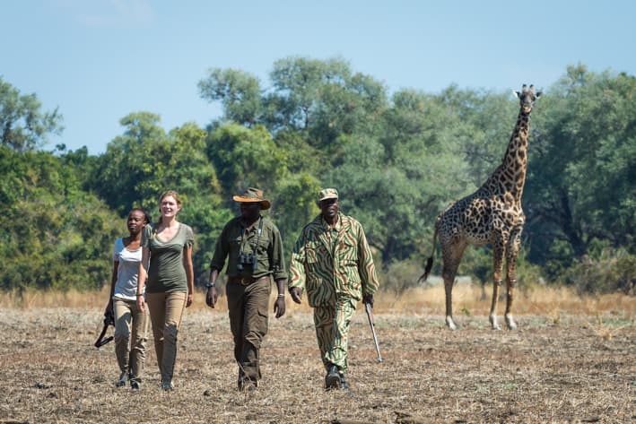 Zambia Safari - Walking Safari
