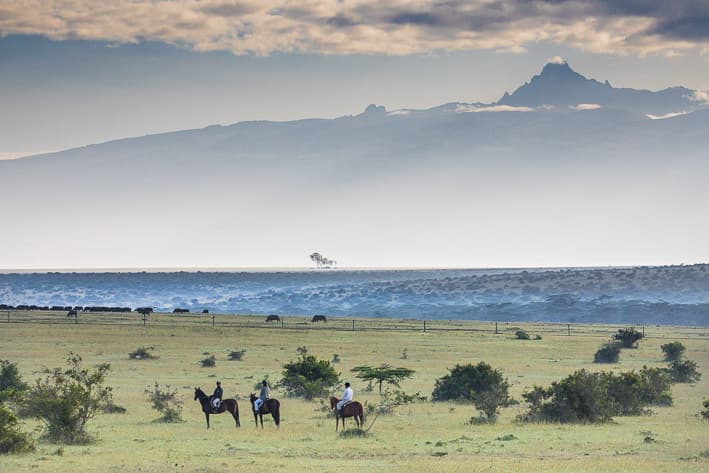 Luxury Kenya Safari - Laikipia