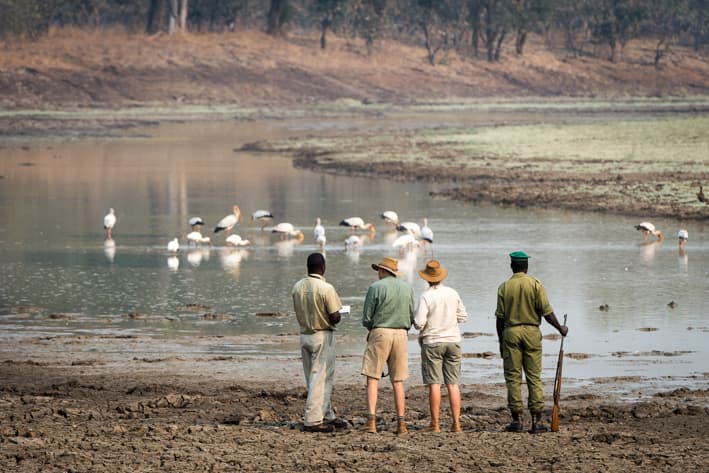 Zambia Safari - Walking Safari