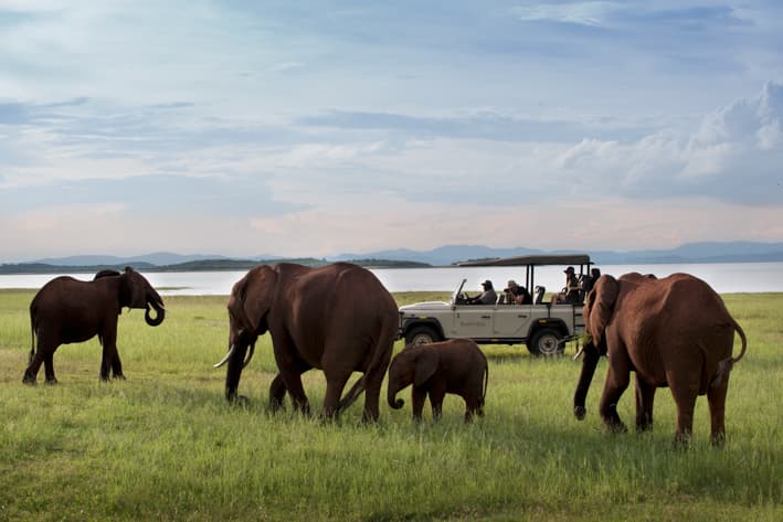 Zimbabwe Safari - Bumi Hills