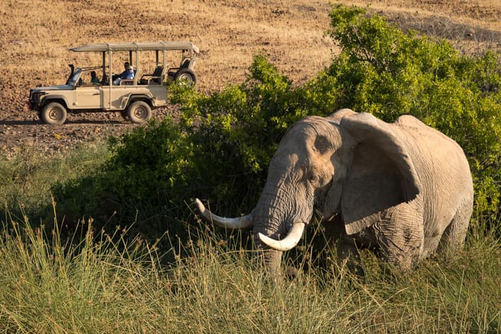 Namibia Safari - Desert Rhino Camp