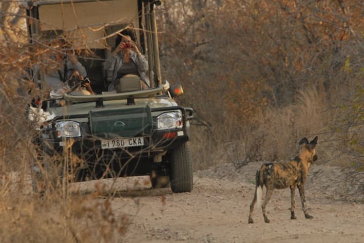 Tanzania Safari - Ruaha