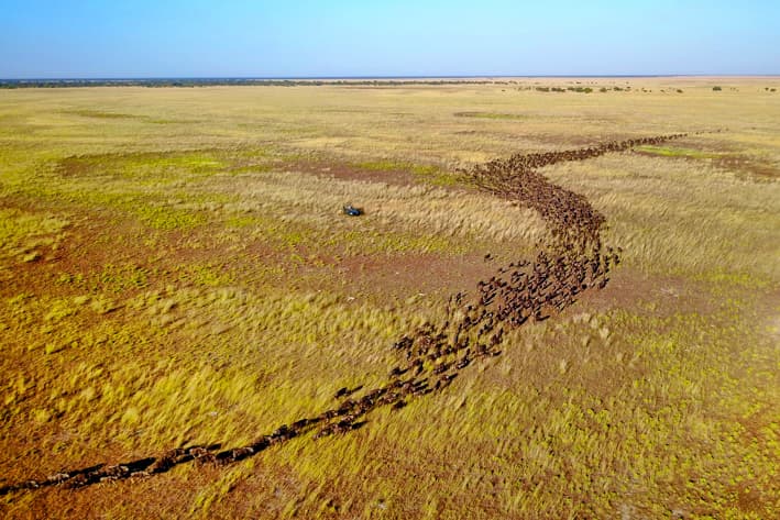 Liuwa Plains Safaris