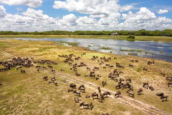 Liuwa Plains Safaris