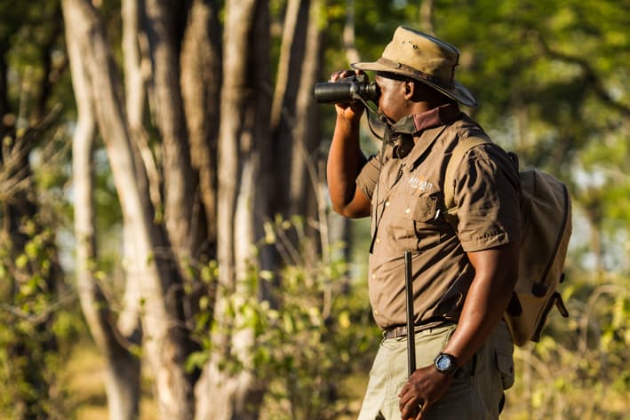 Stanley Safaris_Linyanti Expeditions_Botswana Safari (8)