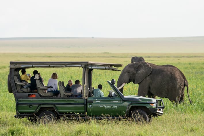 Kenya Migration Safari