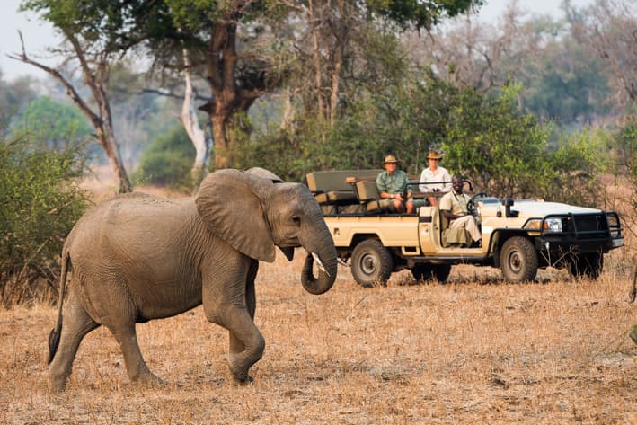 Zambia Safari - South Luangwa