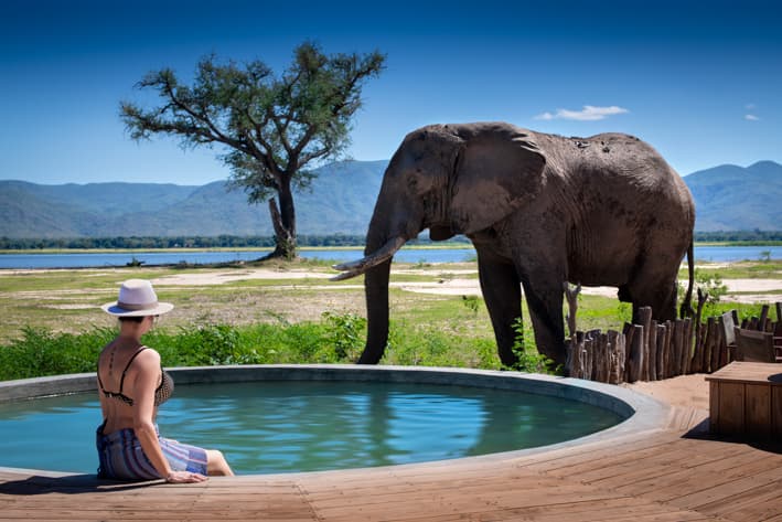 Zimbabwe Safari - Mana Pools