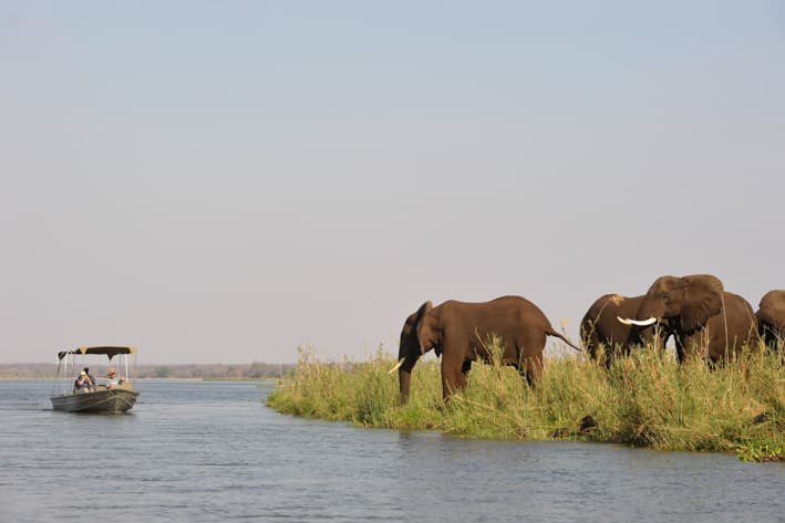 Zambia Safari - Lower Zambezi