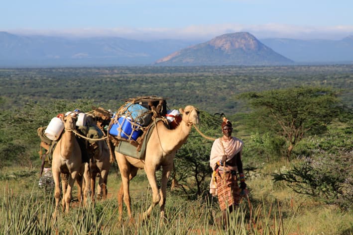Kenya Honeymoon Safari - Sarara Camp