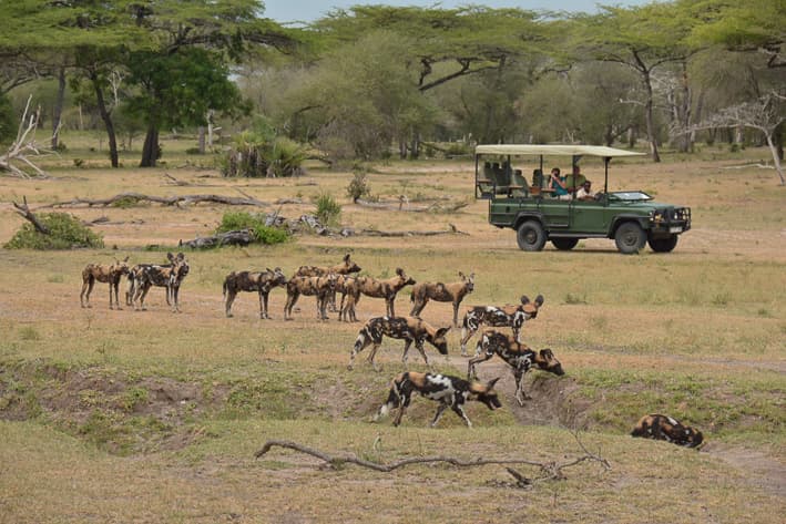 Tanzania Safari - Nyerere