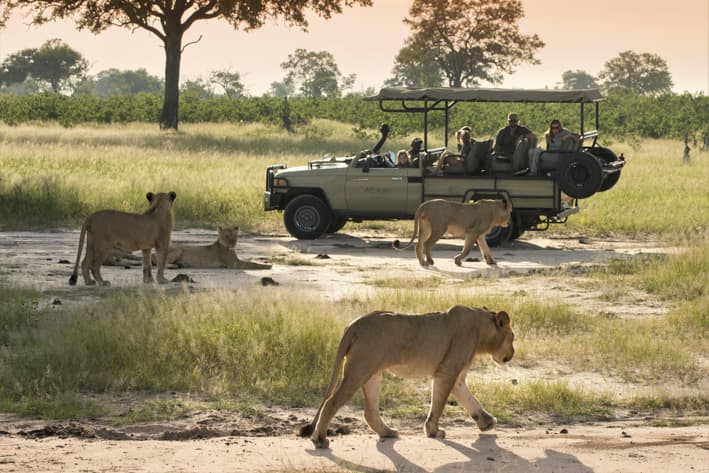 Zimbabwe Safari - Family Safari