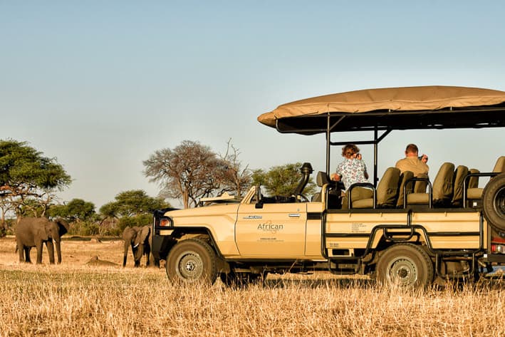 Zimbabwe Safari - Hwange