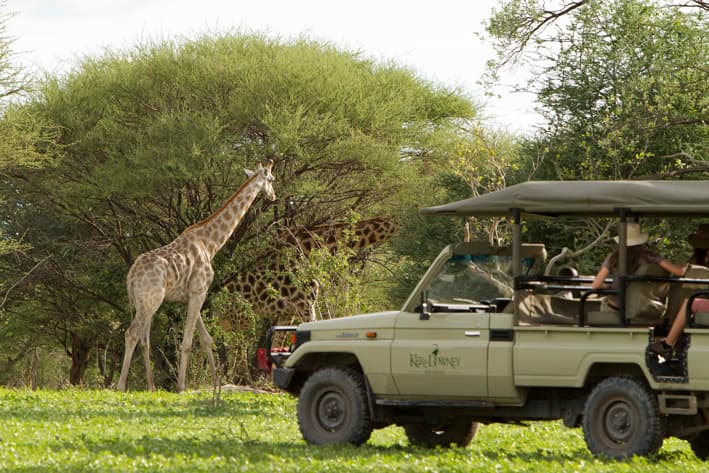 Botswana Family Safari