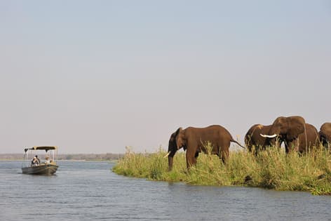 Zambia Safaris