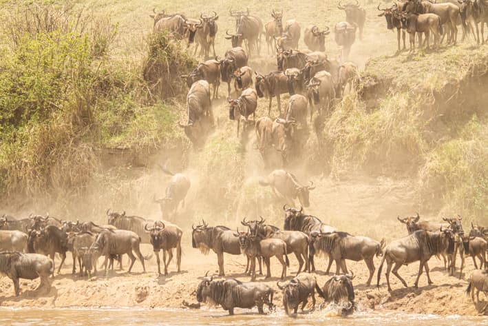 A guide to the Great Migration