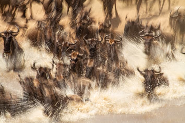 A guide to the Great Migration