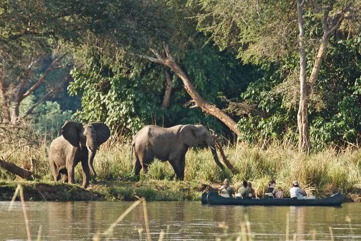 Lower Zambezi Safari