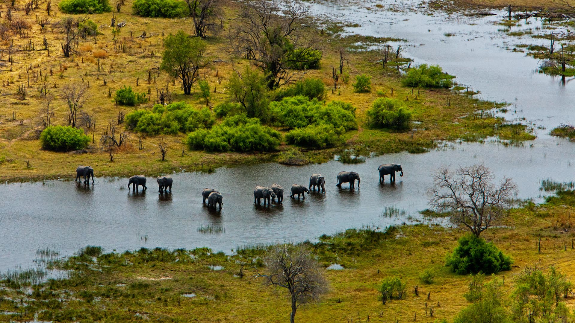 Luxury Safaris to Botswana