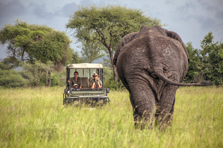 destination of an african safari tour